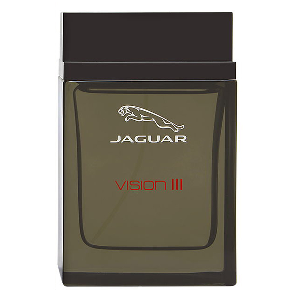 Jaguar Vision III