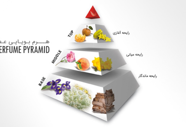 هرم بویایی عطر
