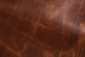 گروه بویایی چرمی (Leather)