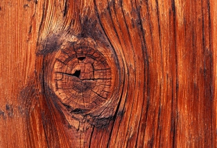 گروه بویایی چوبی (Woody)