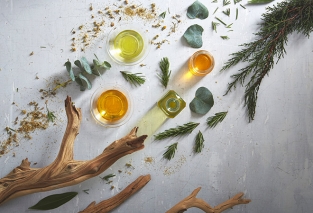 گروه بویایی چیپر (Chypre) گروه بویایی چیپر (Chypre)