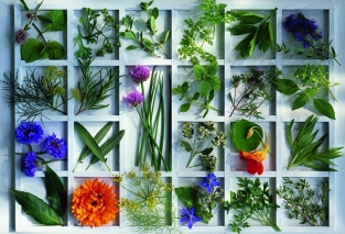 گروه بویایی آروماتیک (Aromatic) گروه بویایی آروماتیک (Aromatic)