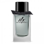 Burberry Mr Burberry Burberry Mr Burberry