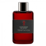 Antonio Banderas The Secret Temptation Antonio Banderas The Secret Temptation