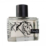 Versailles Cavallo Versailles Cavallo
